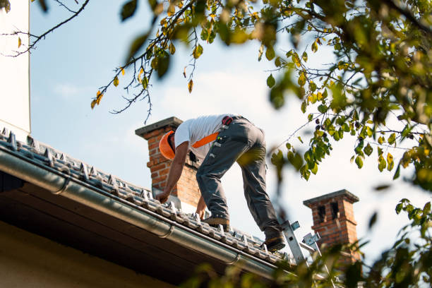 Best Roof Repair Services  in Harpersville, AL