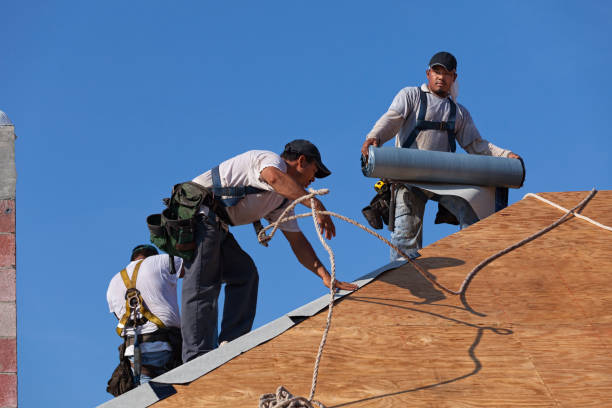 Gutter Installation and Roofing in Harpersville, AL